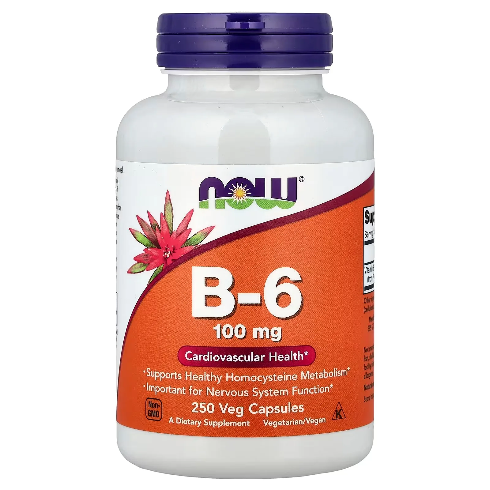 NOW Foods, Vitamine B6, 100 mg, 250 capsules végétales - MagniMarket