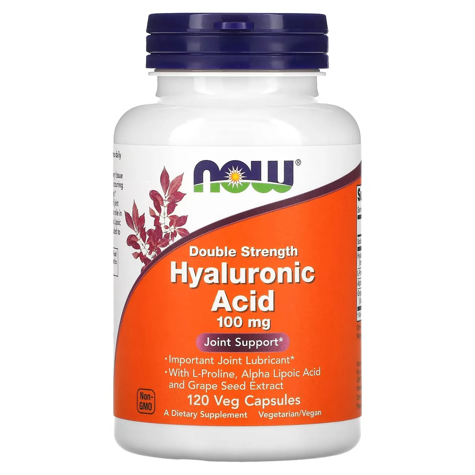 NOW Foods, Acide hyaluronique à la L-proline, à l'acide alpha-lipoïque et à l'extrait de pépins de raisin, 100 mg, 120 capsules végétales - MagniMarket