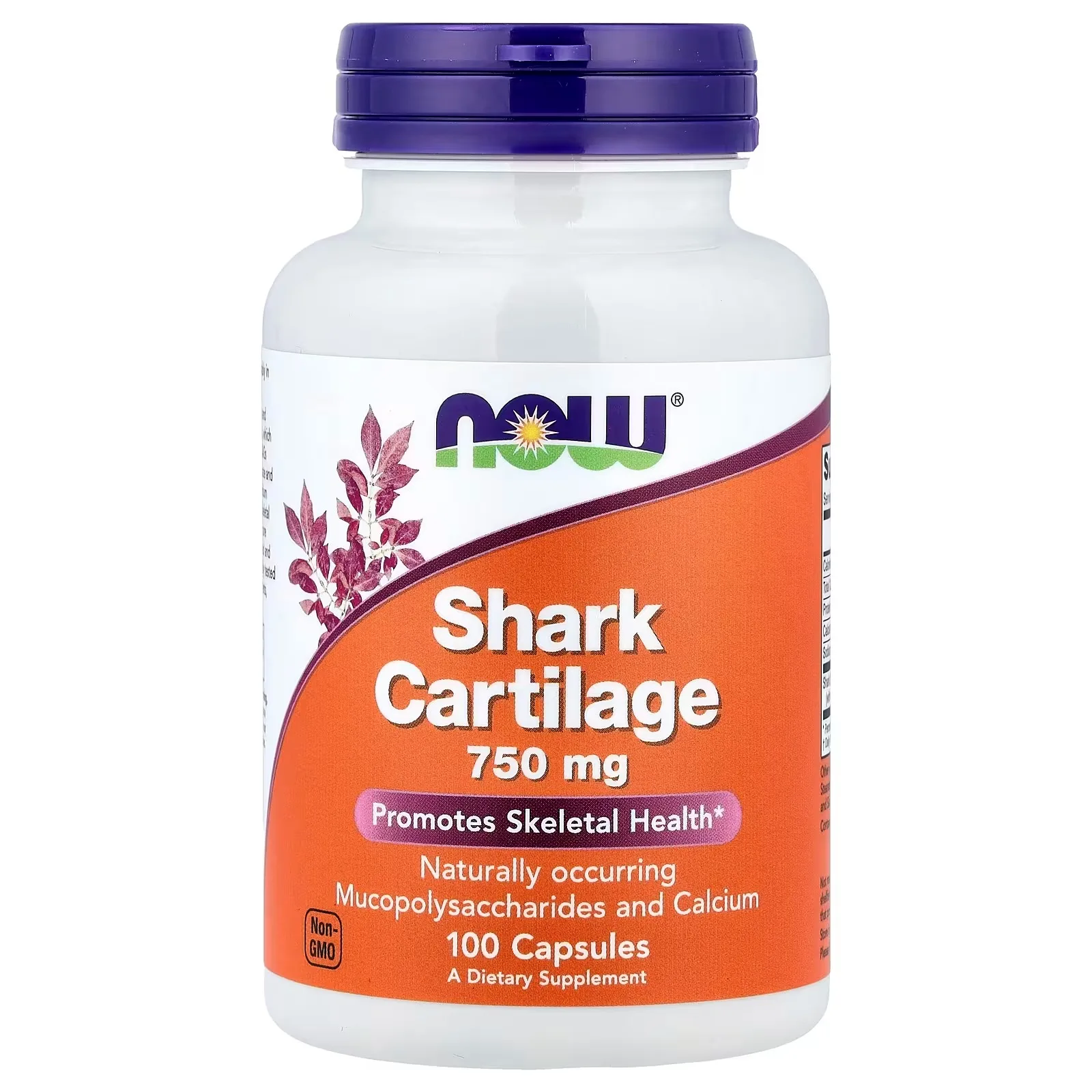 Now Foods, Cartilage de Requin, 100 capsules - MagniMarket