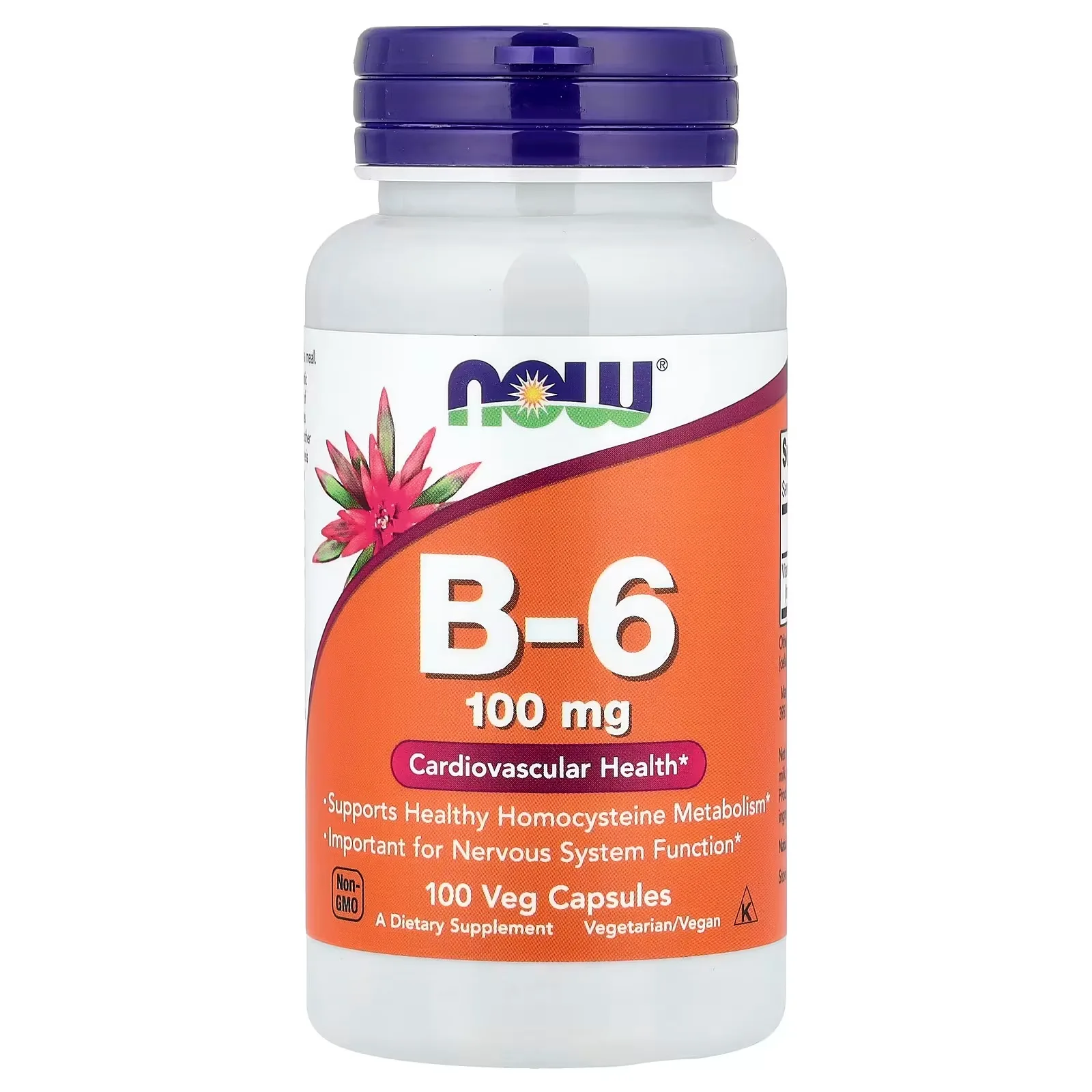 Now Foods, B-6, 100 mg, 100 capsules végétariennes - MagniMarket