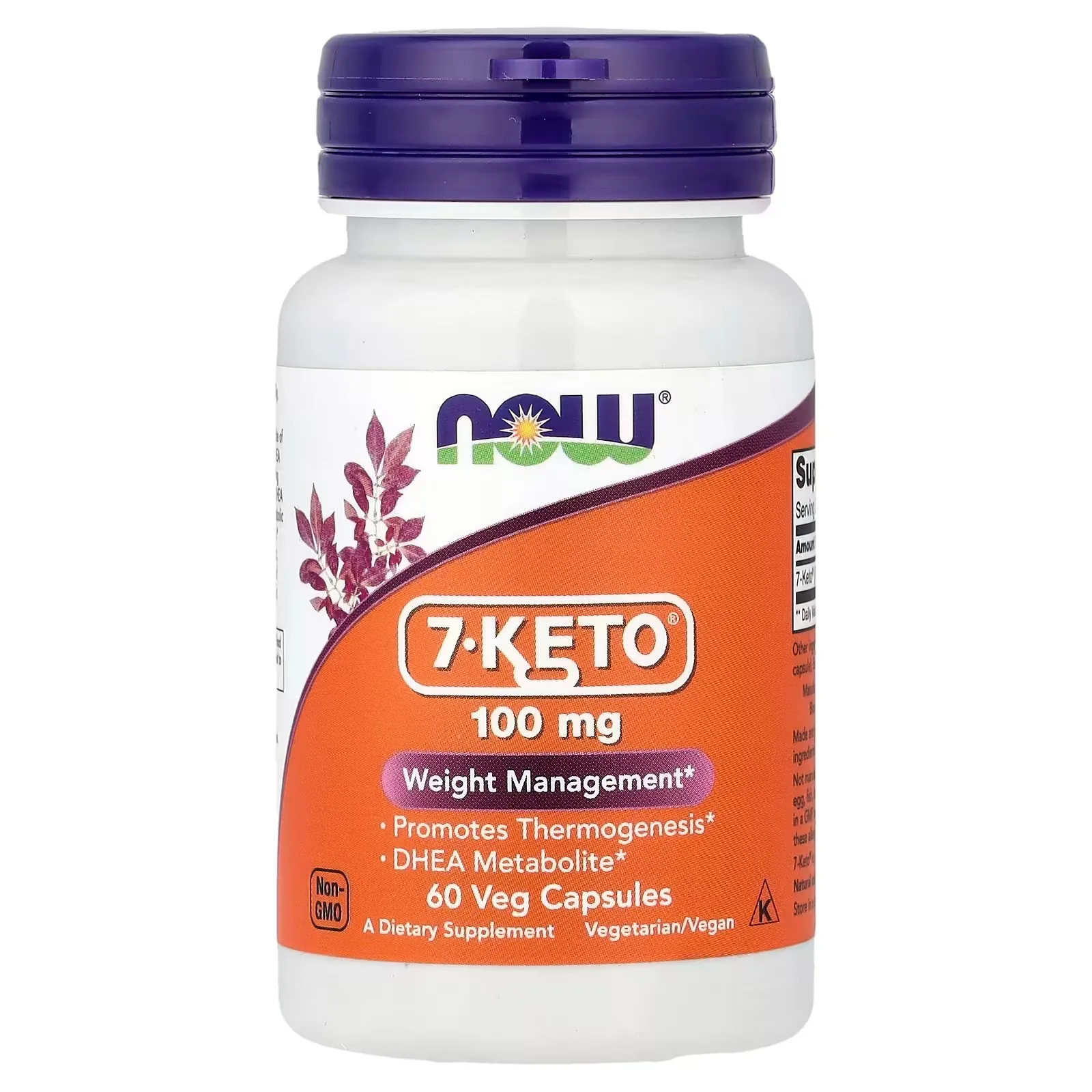 Now Foods, 7-KETO, 100 mg, 60 capsules végétales - MagniMarket
