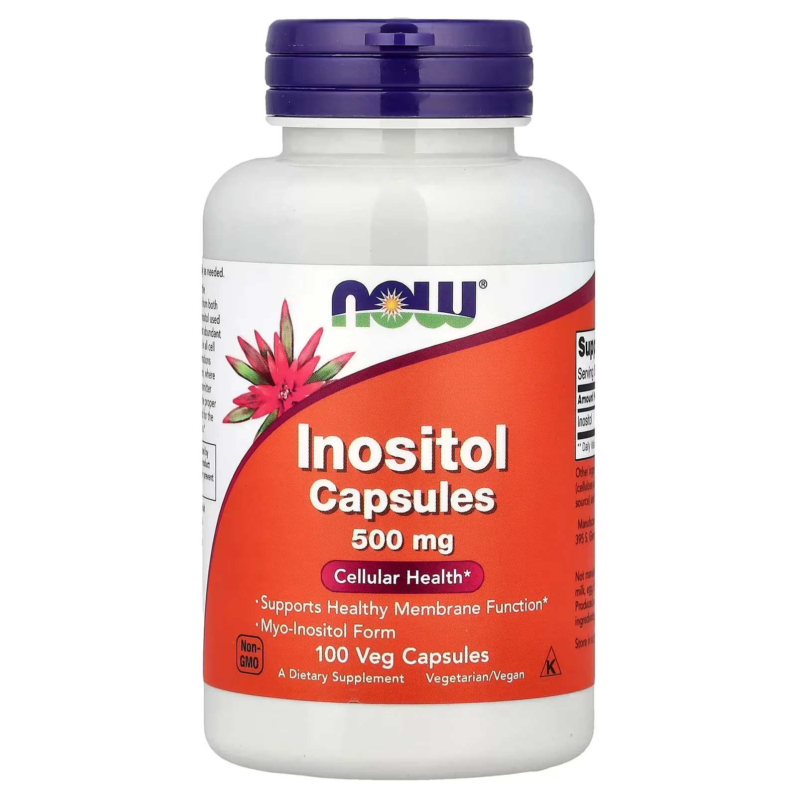 Now Foods, Inositol, 500 mg, 100 capsules végétales - MagniMarket