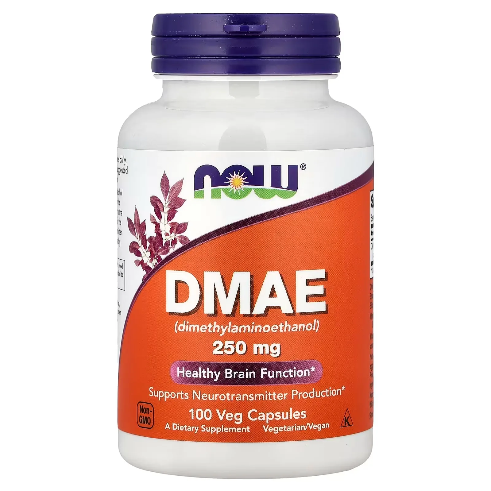 Now Foods, DMAE, 250 mg, 100 capsules végétariennes - MagniMarket