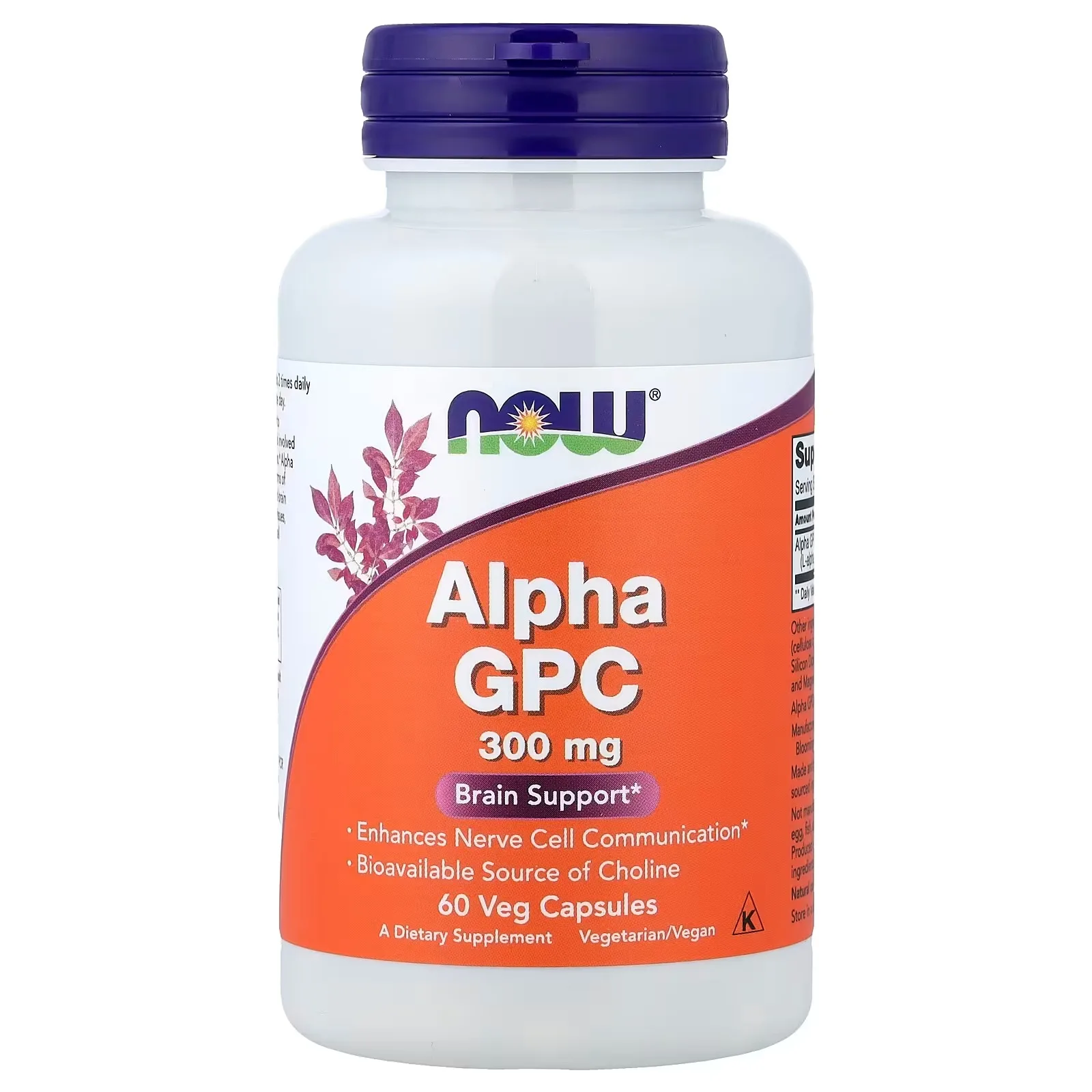 Now Foods, Alpha GPC, 300 mg, 60 capsules végétales - MagniMarket